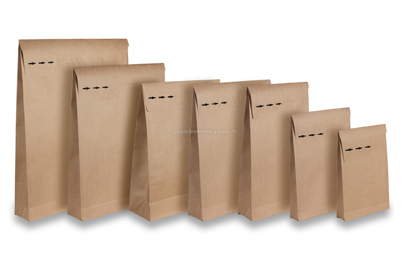 Distribution gratuite de sacs de papier pour surplus de feuilles - Quoi  faire à Ville de Victoriaville